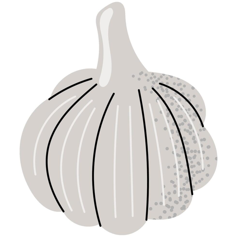 Flat illustration of a garlic bulb with cloves. Ideal for cooking-themed projects, healthy food designs, and natural ingredient visuals. vector