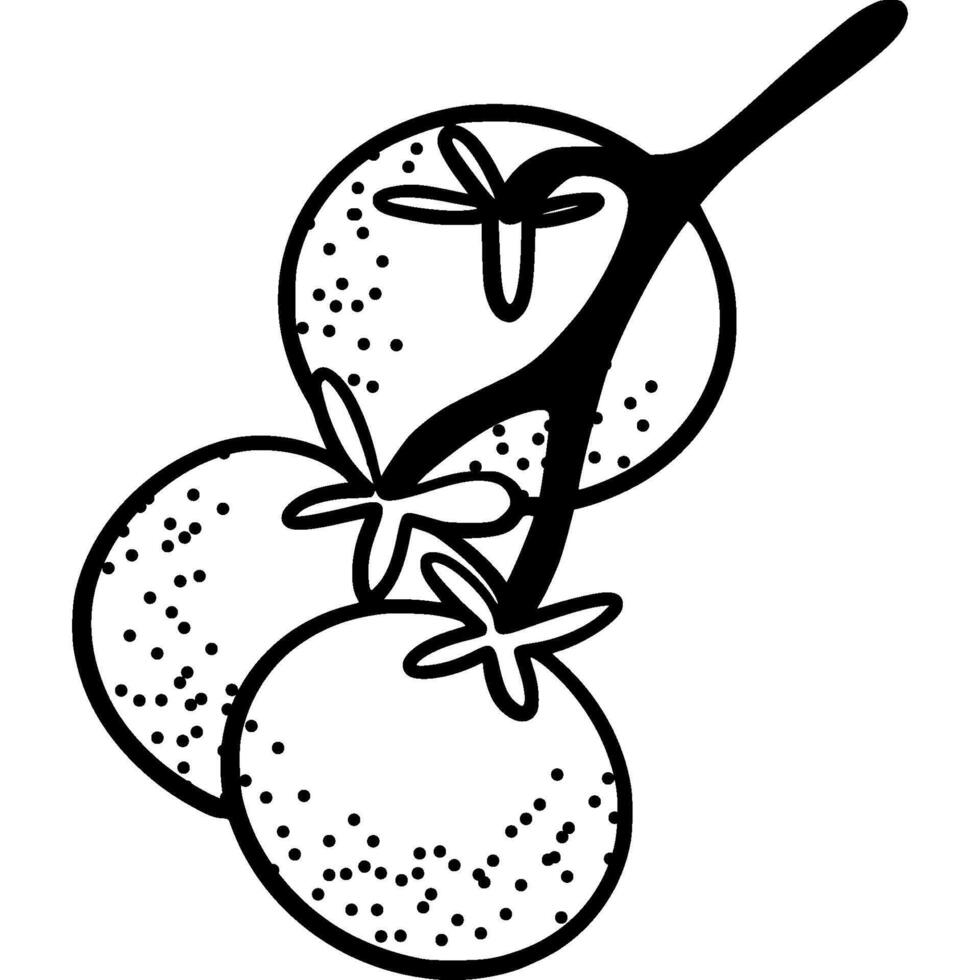 Hand-drawn black and white vine tomatoes illustration. Ripe red tomatoes on a vine, perfect for food, farming or recipe design themes. vector