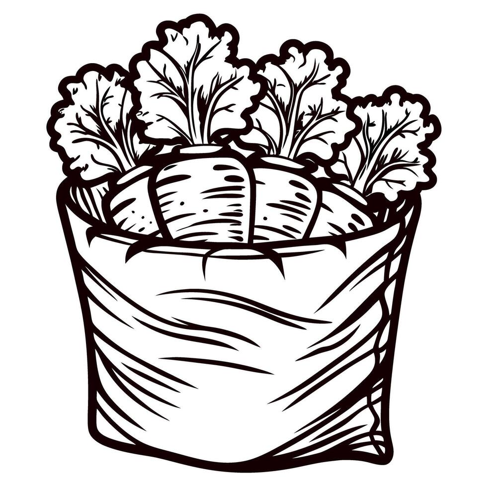 Hand drawn turnips with leafy tops in cloth sack vintage black and white engraved illustration vector