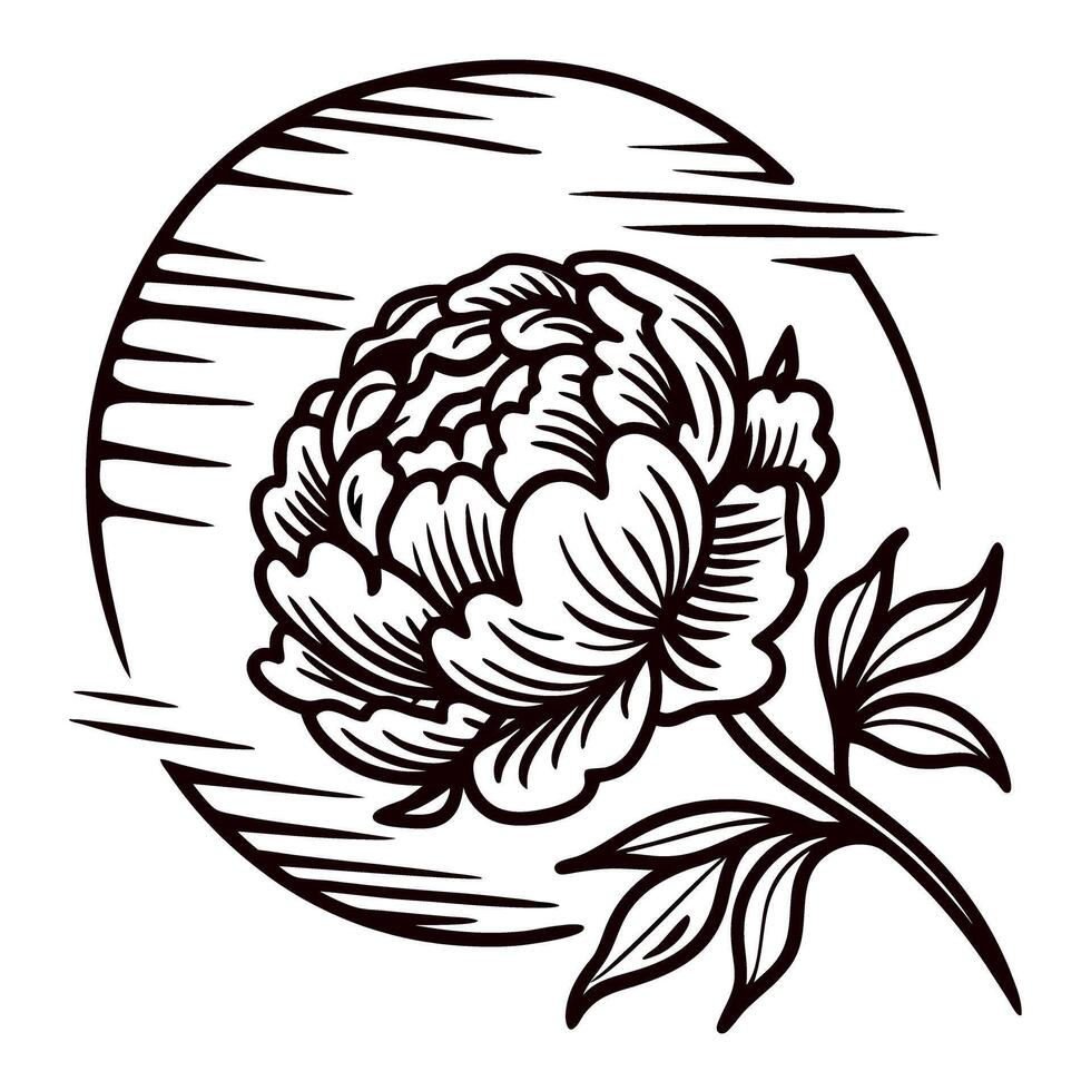 Hand drawn blooming peony flower with leaves in front of abstract round sun, vintage floral illustration vector