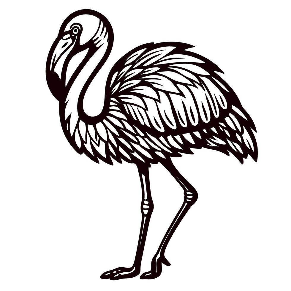 Hand drawn flamingo engraving isolated on white vintage stylized sketch illustration with detailed feather pattern vector