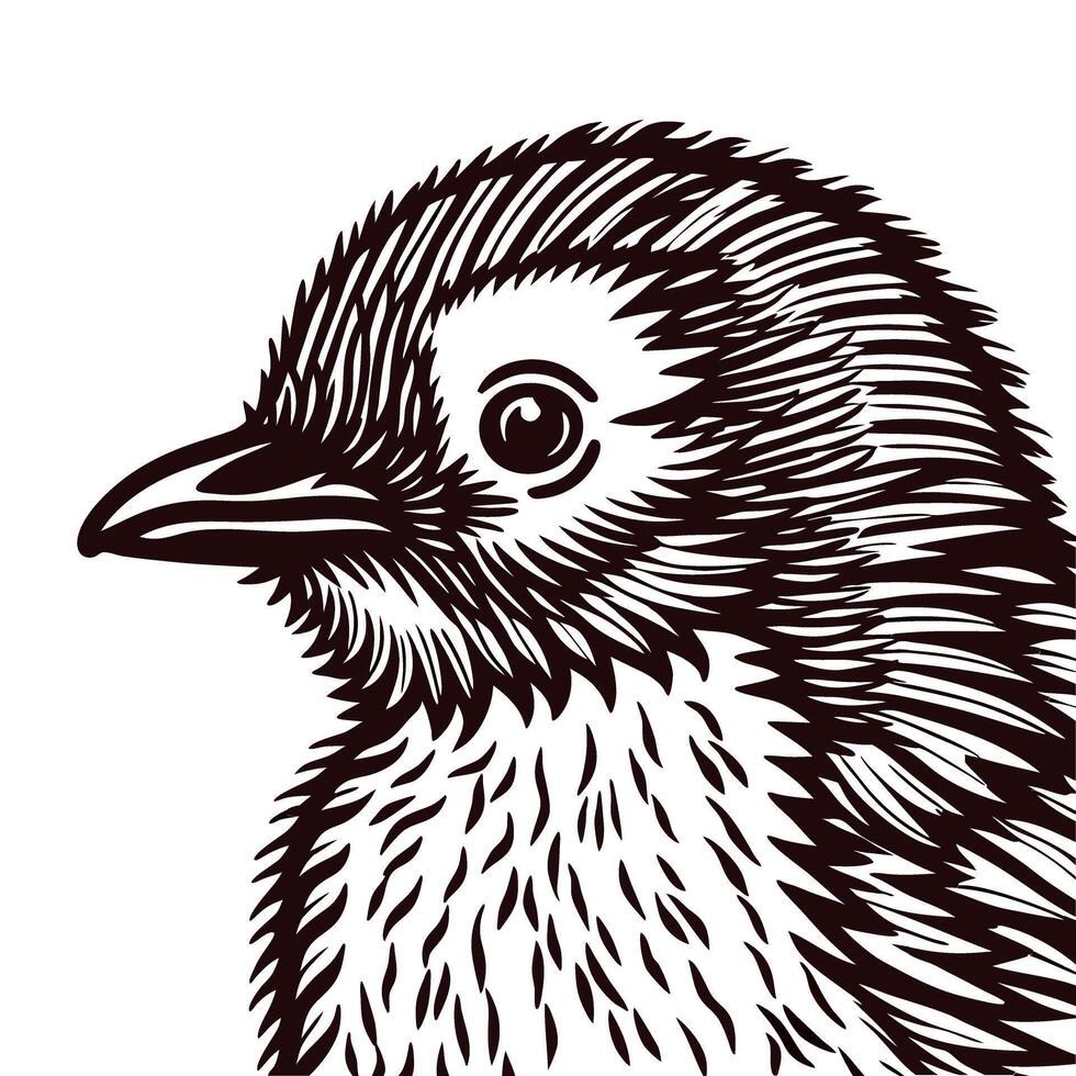 Detailed hand drawn black and white bird portrait with intricate feather patterns and expressive eye illustration vector
