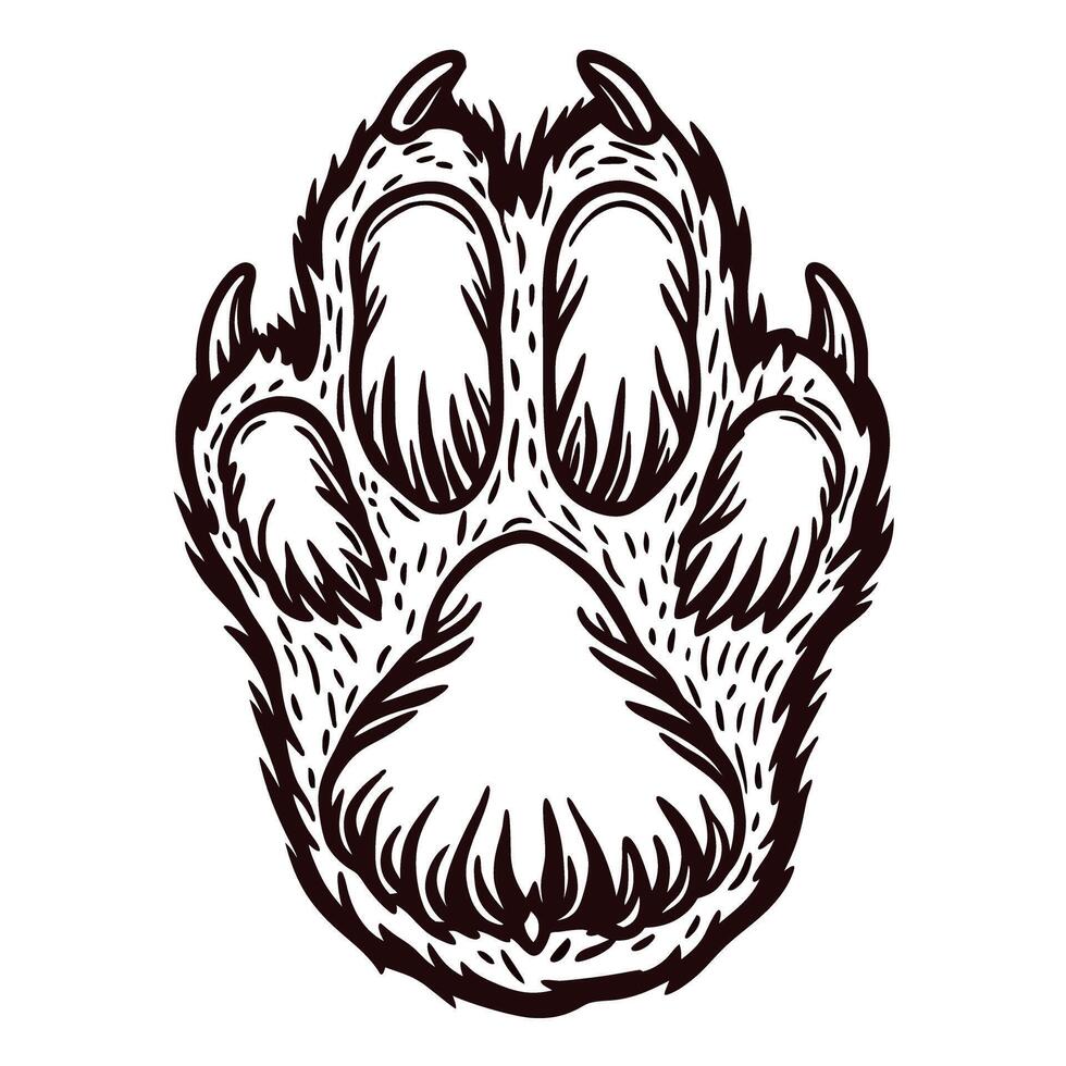 Hand drawn wild animal paw print illustration with detailed fur and claws isolated on white background vector