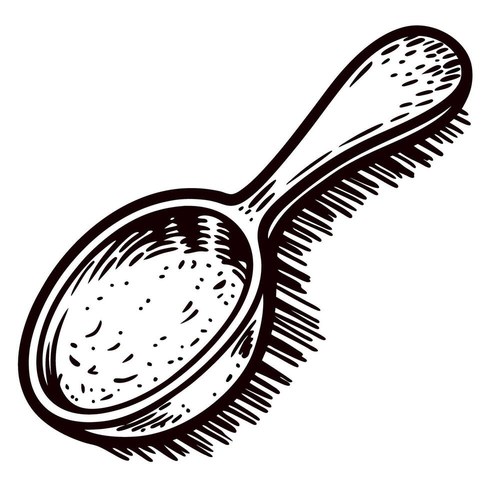 Vintage engraved wooden hairbrush with natural bristles and ergonomic handle sketch illustration vector