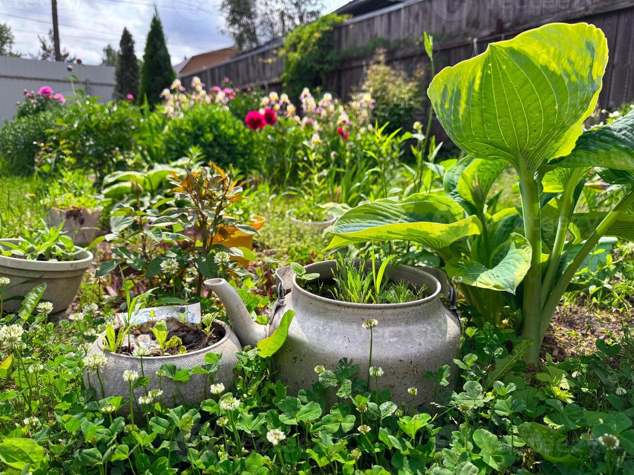 Vibrant vegetable garden thriving with flowers in a sunny backyard setting photo