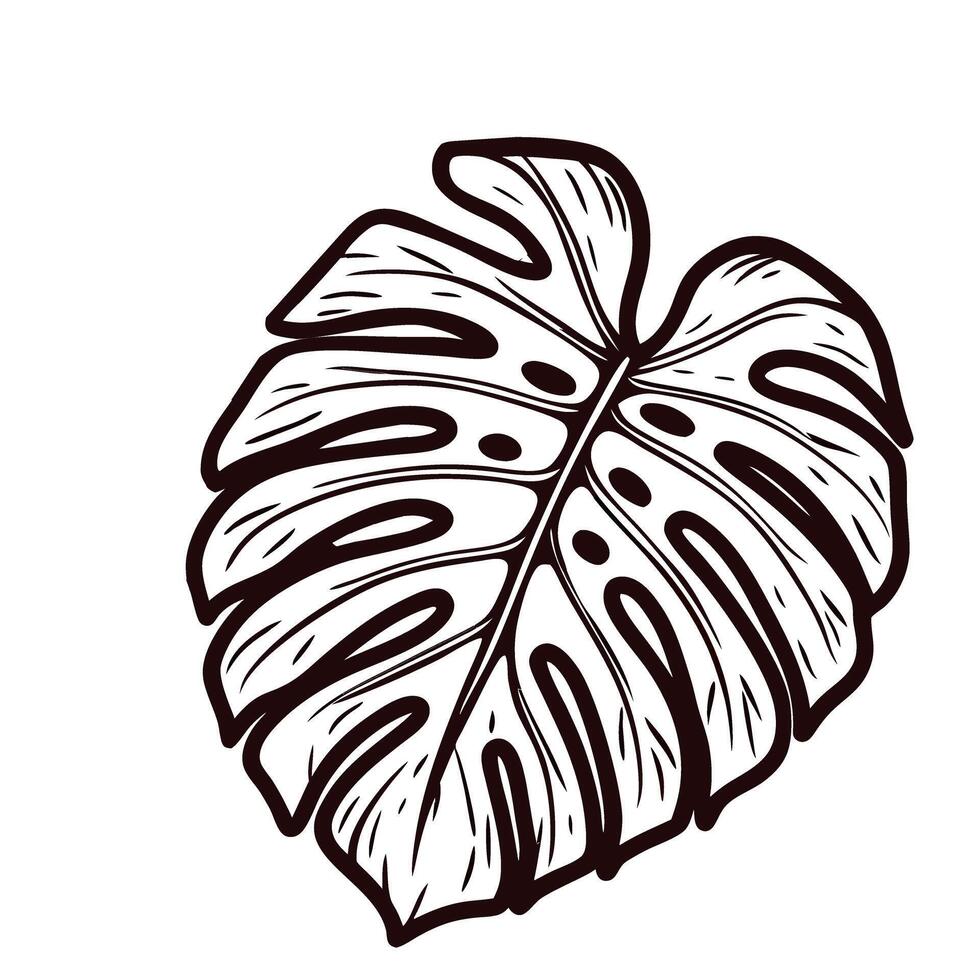 Monstera leaf black and white line art with detailed organic patterns vector