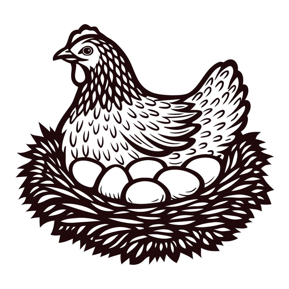 Hen sitting in nest with eggs, hand drawn engraving illustration, farm animal vintage drawing vector