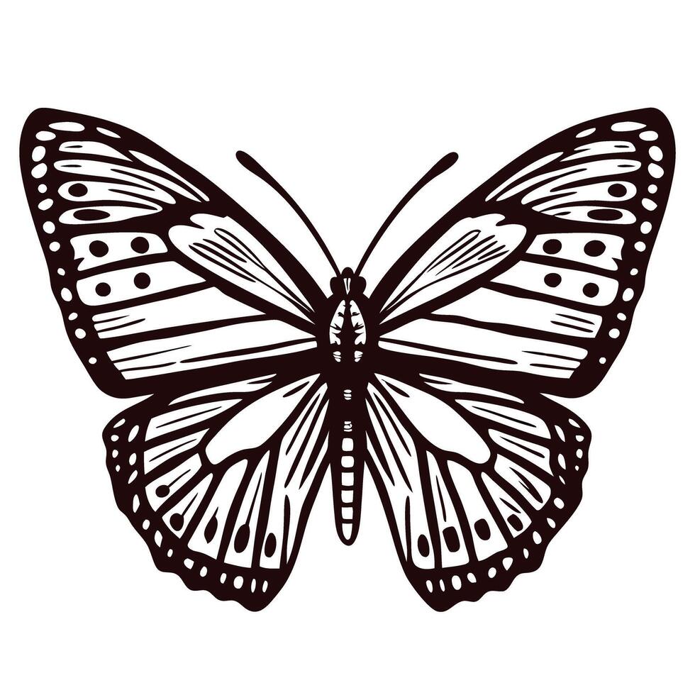 Intricate black and white butterfly detailed wing pattern vector