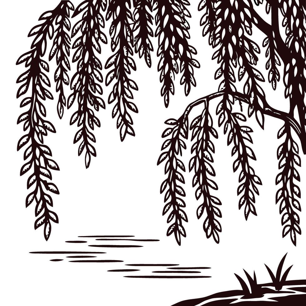 Detailed hand drawn willow tree branches with hanging leaves over calm water in vintage engraving vector