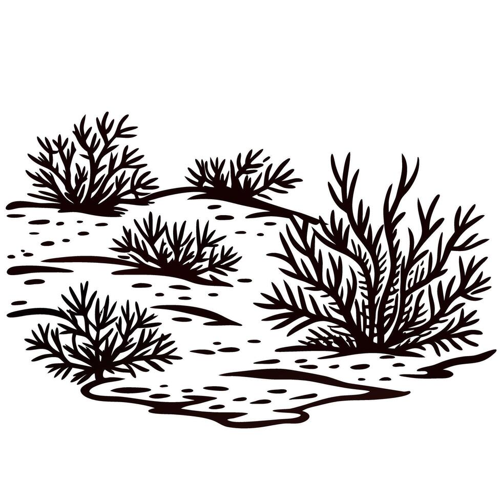 Illustration of desert shrubs on sandy ground in vintage black and white engraved vector
