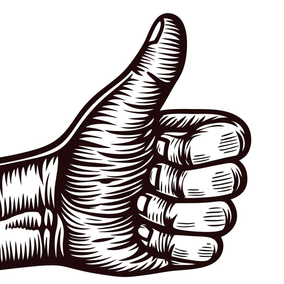 Detailed hand drawn illustration of a human hand making a thumbs up gesture in vintage engraved vector