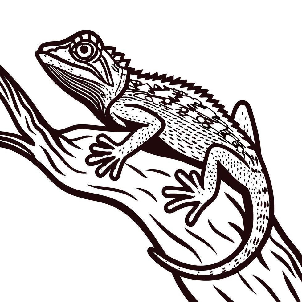 Ink drawing of chameleon lizard perched on tree branch with detailed texture and linework illustration vector