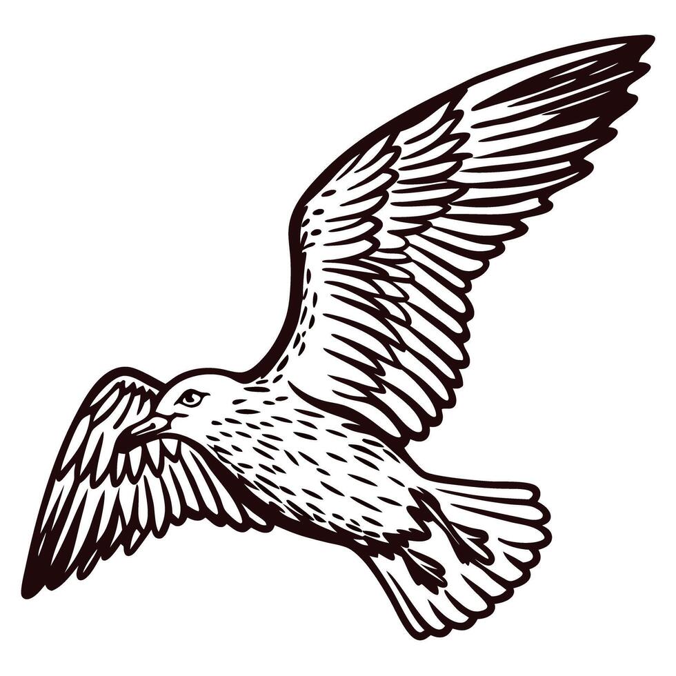 Detailed of a sea bird in mid flight with outstretched wings vector