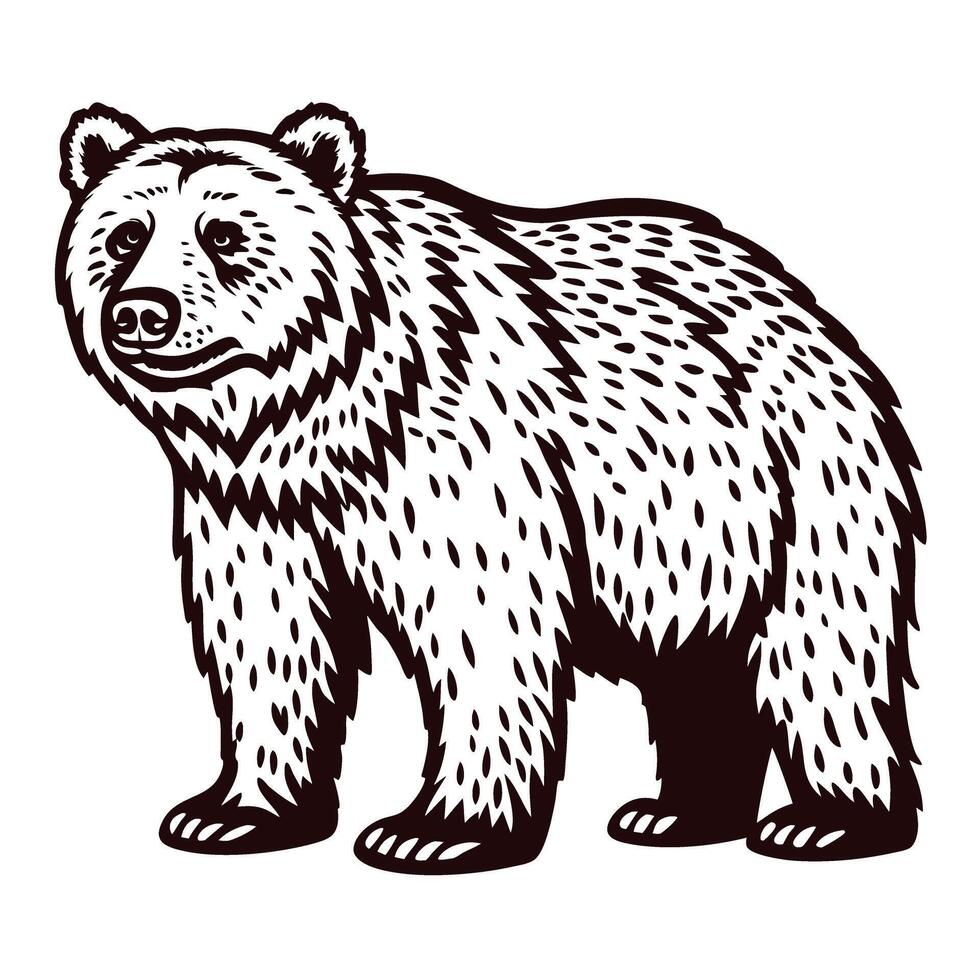 Hand drawn grizzly bear illustration with detailed fur texture in vintage engraved vector