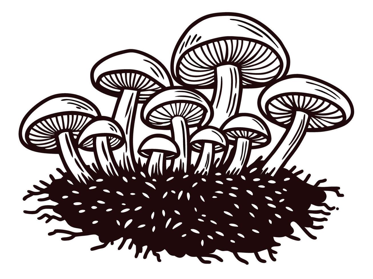Cluster of wild mushrooms growing from forest ground, vintage hand drawn engraved illustration vector