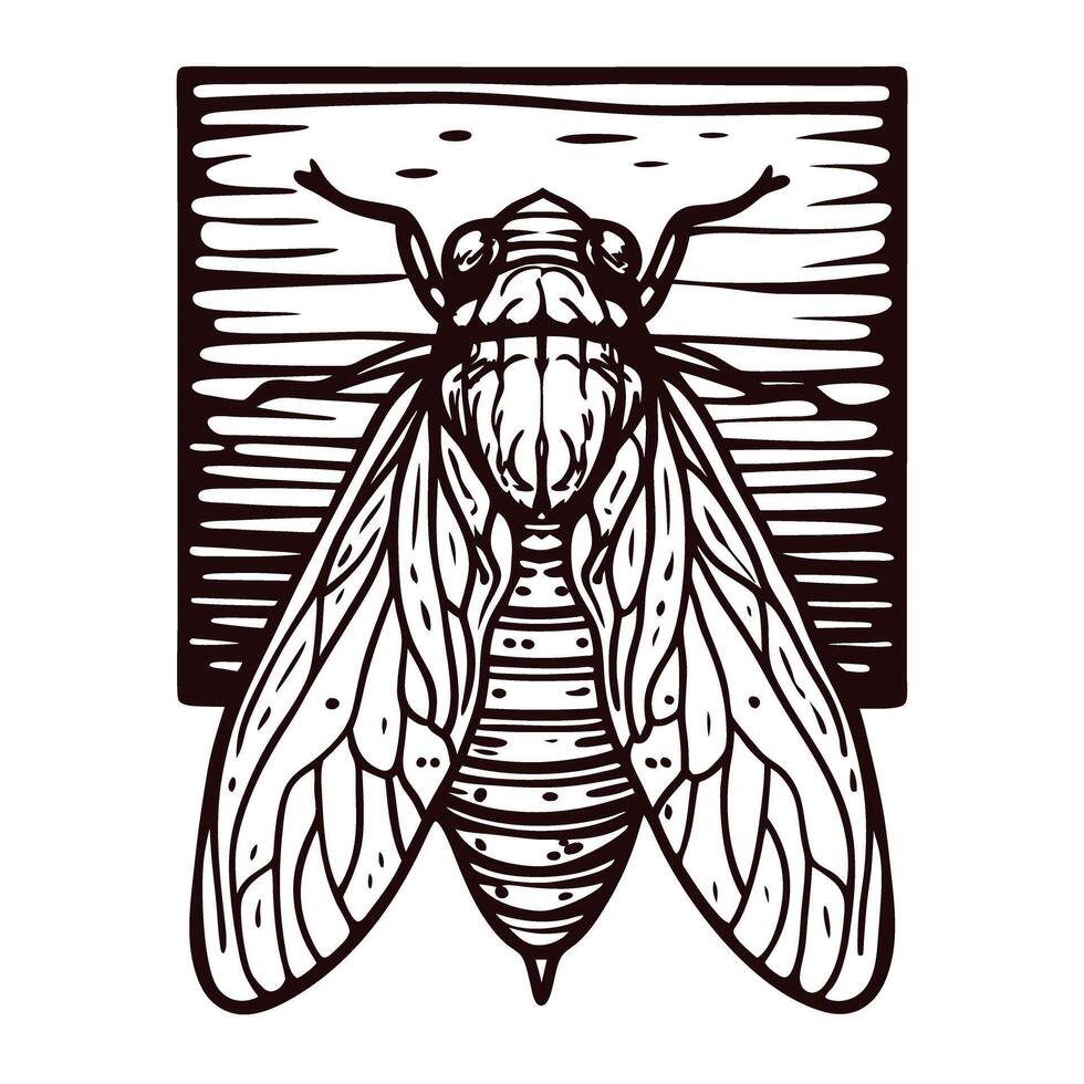 Detailed vintage illustration of cicada insect with outstretched wings over textured background in bold black lines vector