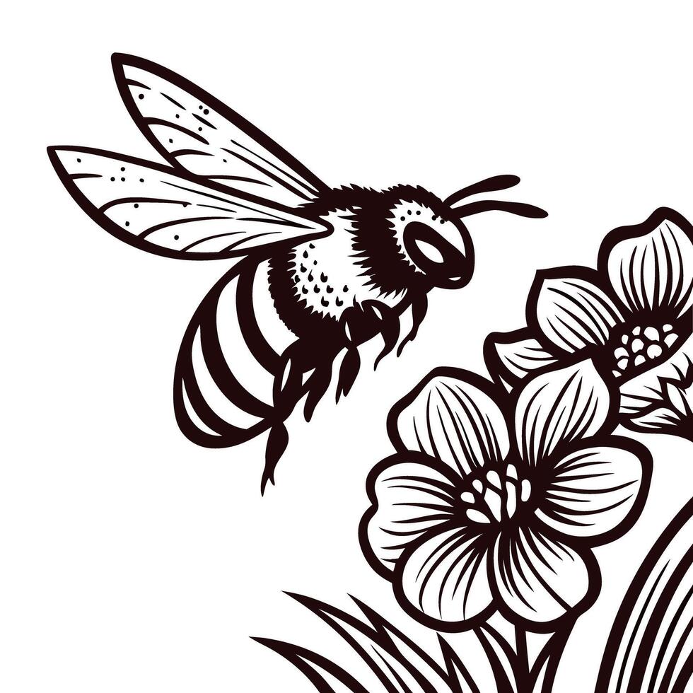 Detailed hand drawn bee hovering near flowers and leaves vintage botanical ink illustration vector