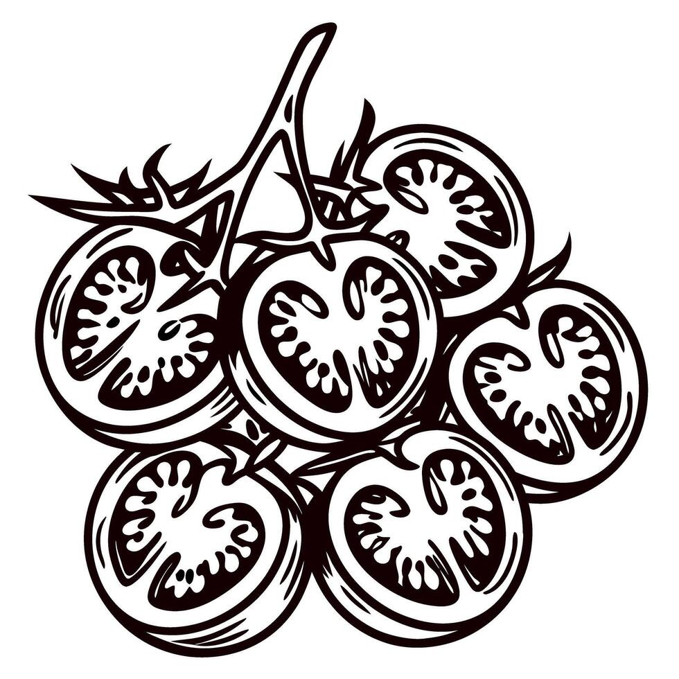 Hand drawn cluster of sliced cherry tomatoes with stems vintage engraved botanical illustration vector