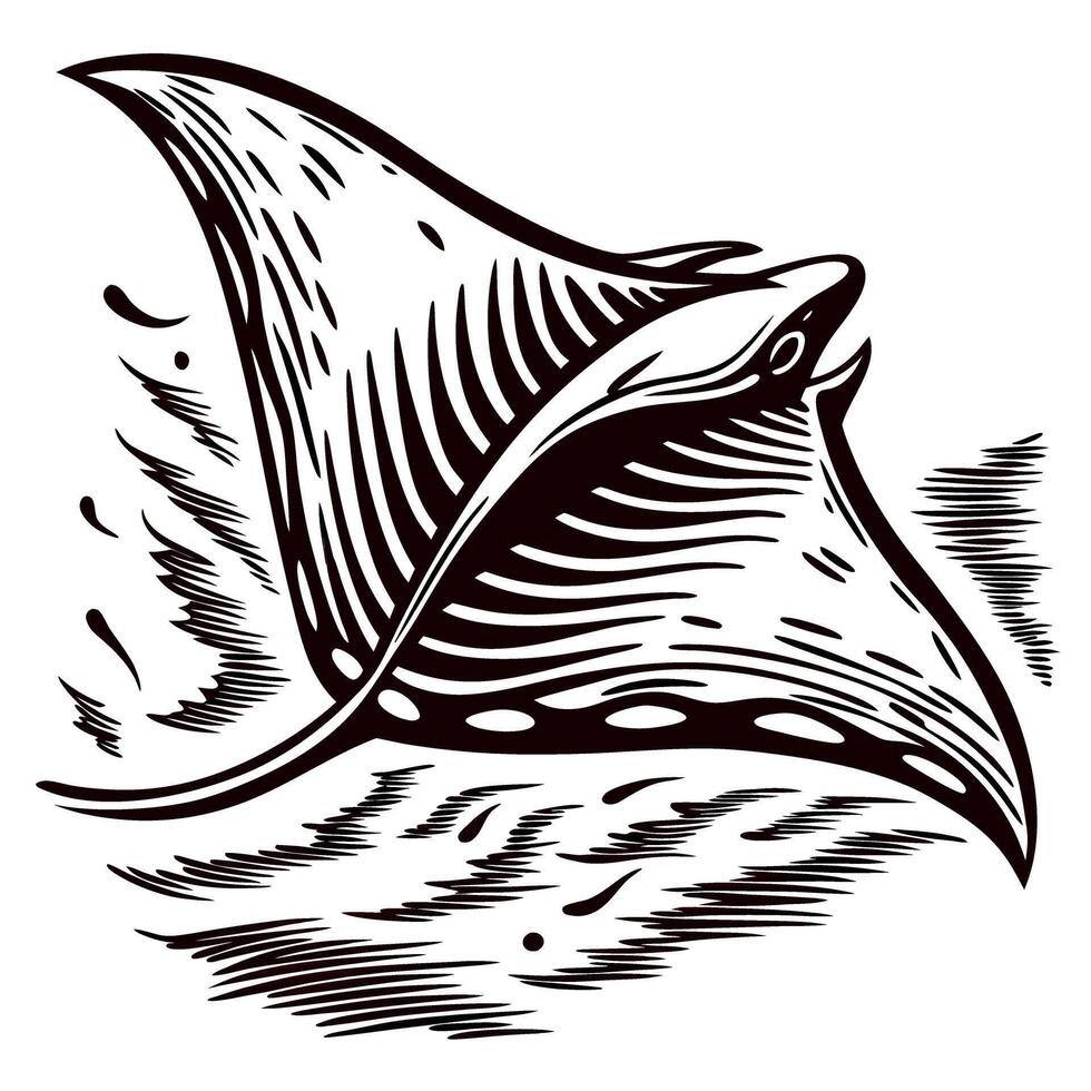 Vintage engraving of a majestic manta ray swimming in the ocean, hand drawn classic illustration vector