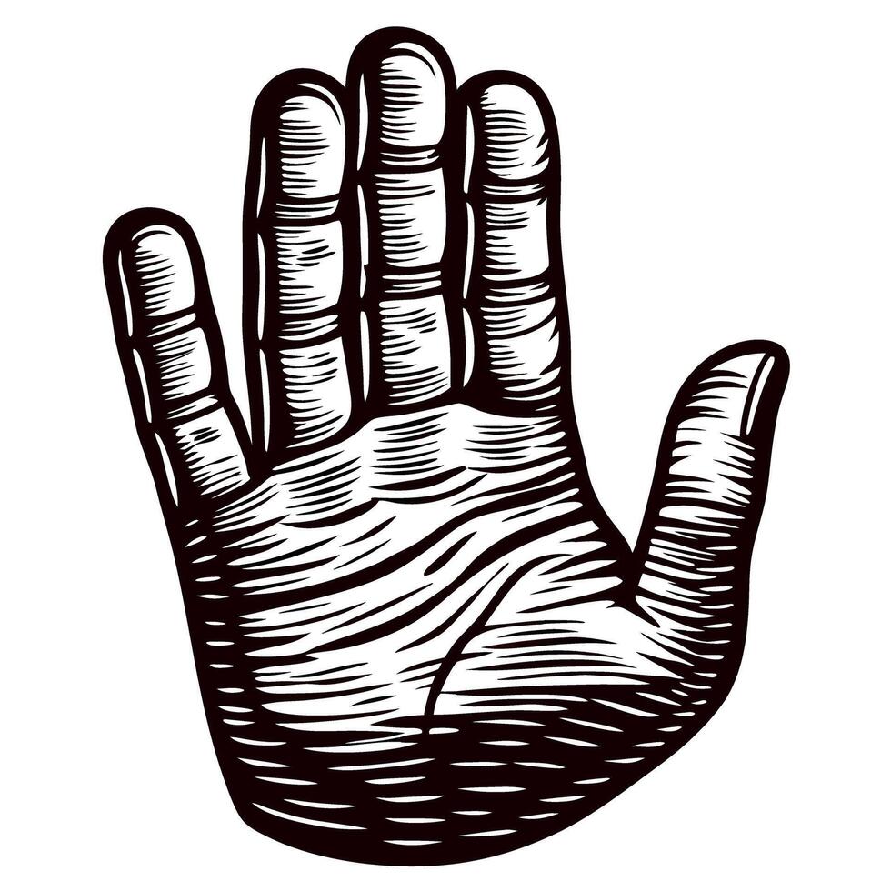 Engraved vintage illustration of open human palm isolated on white background detailed hand sketch vector