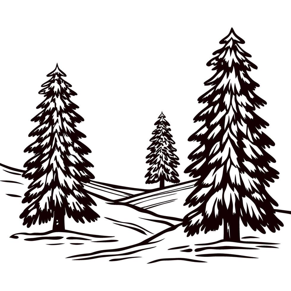 Snowy evergreen trees illustration on winter landscape in vintage engraving vector