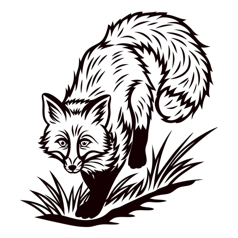 Engraved wild fox illustration with bushy tail walking through grass in vintage black and white vector