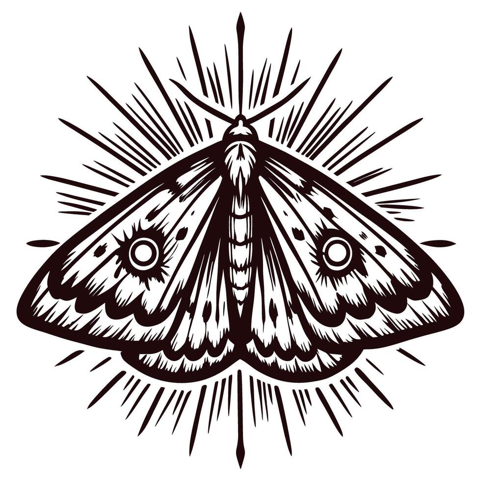 Detailed monochrome illustration of a moth with decorative wings surrounded by radiant lines in vintage tattoo vector