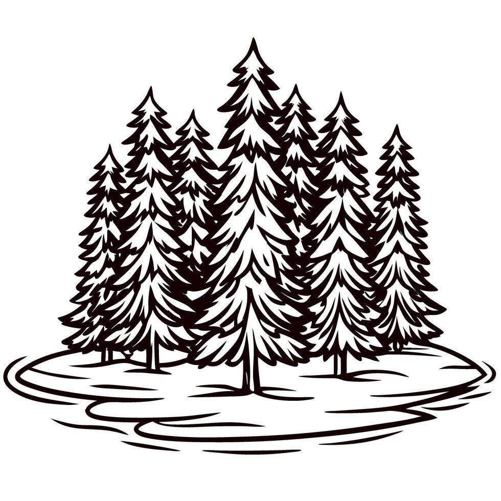 Hand drawn coniferous forest isolated on white background vintage engraved pine trees illustration for woodland scenery vector
