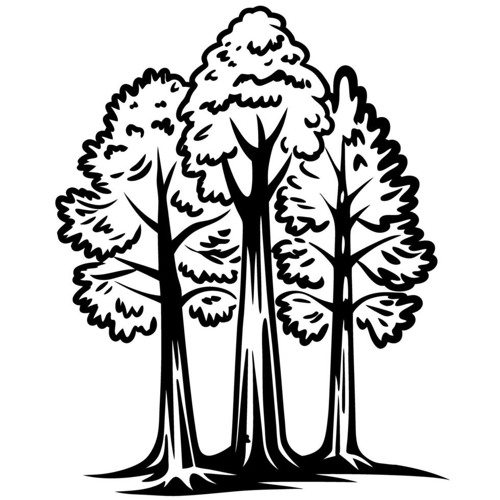 Hand drawn trio of tall leafy trees in black and white sketch illustration vector