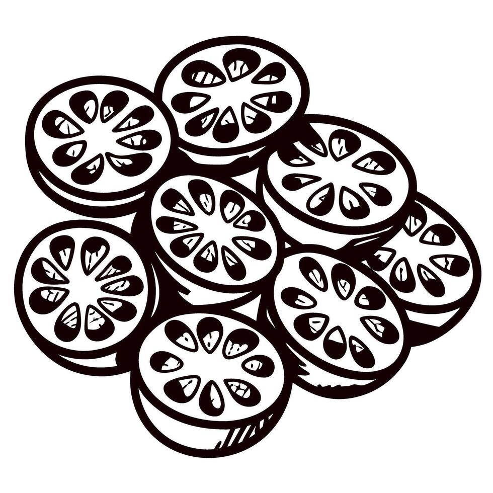 Hand drawn slices of bael fruit in vintage botanical illustration vector