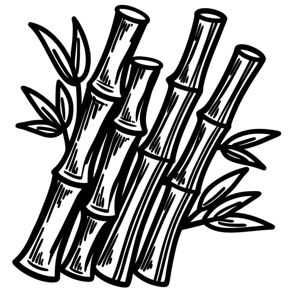 Hand drawn illustration of sugarcane stalks with leaves isolated on white background in vintage sketch vector