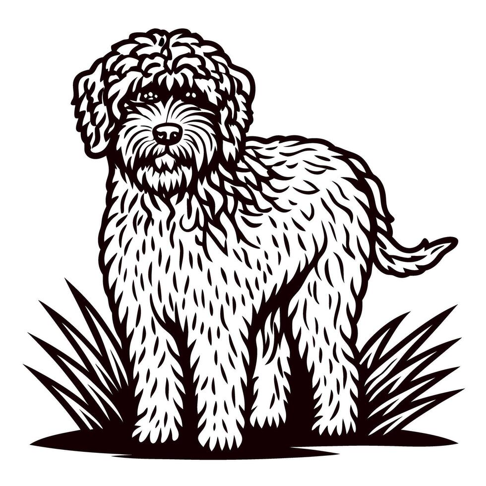 Shaggy woolly dog standing on grass rustic hand drawn black and white illustration vector