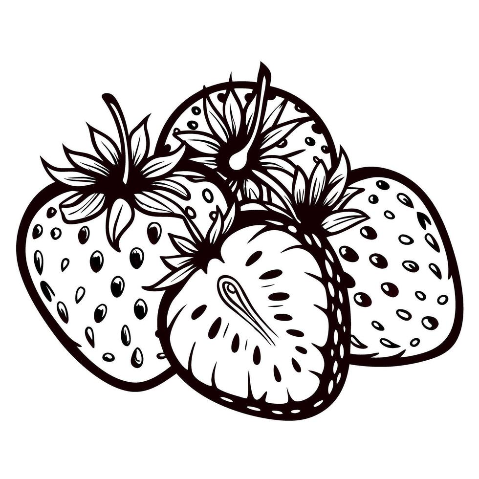 Hand drawn illustration of strawberries with leaves vintage botanical sketch fruit on white background vector