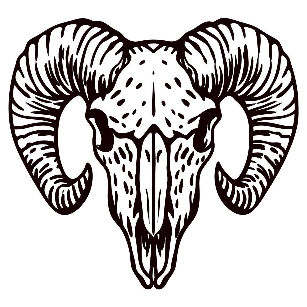 Hand drawn ram skull with curved horns isolated on white background vintage engraved illustration vector