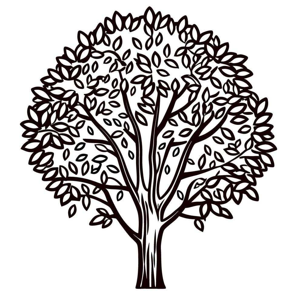 Intricate hand drawn deciduous tree with dense foliage isolated on white botanical engraving illustration vector