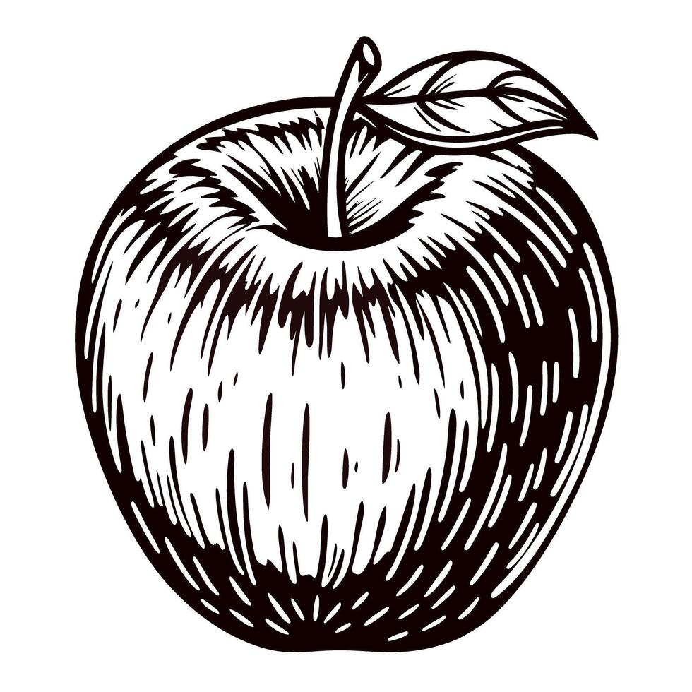 Hand drawn apple with detailed linework and leaf accent vector