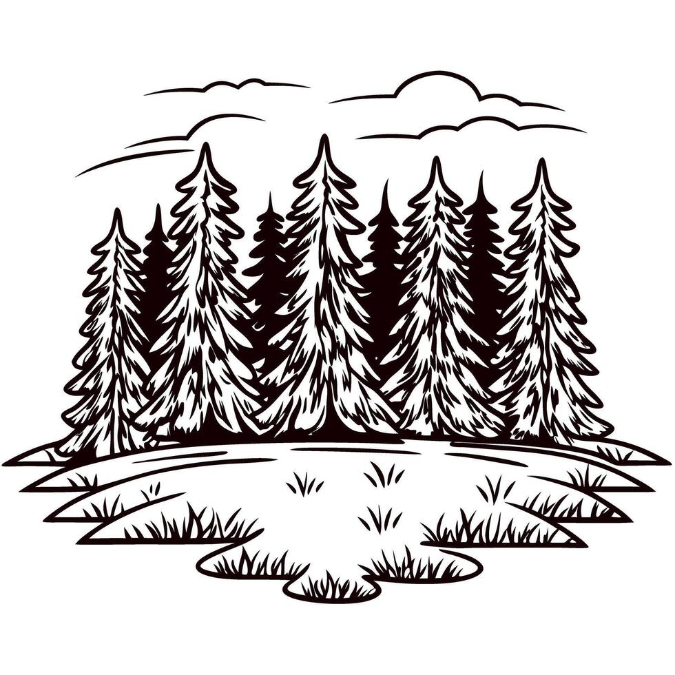 Hand drawn evergreen pine tree forest with meadow and clouds, vintage engraved illustration vector