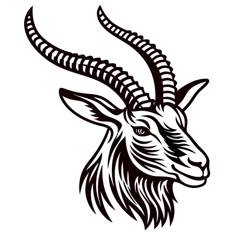Hand drawn antelope head with long curved horns in vintage engraved isolated on white background vector