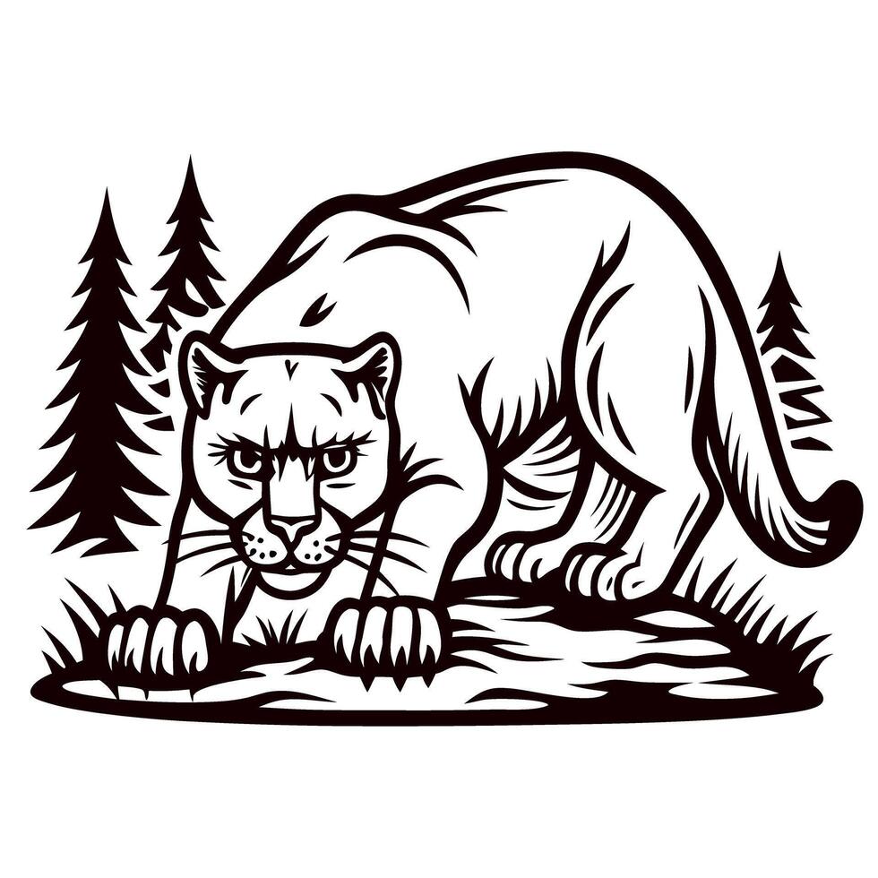 Wild mountain cougar prowling in forest clearing aggressive feline on rocky terrain vintage engraving vector