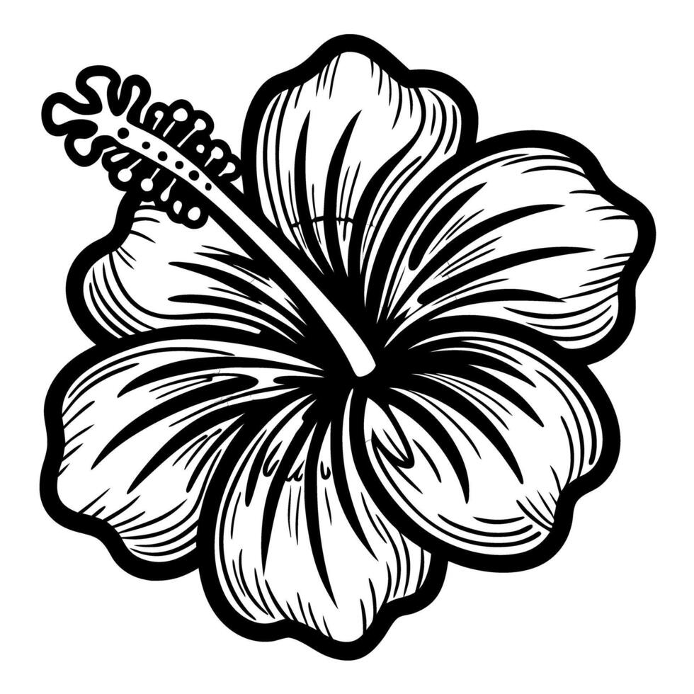 Detailed black and white hibiscus flower illustration with bold hand drawn lines and intricate petal details vector