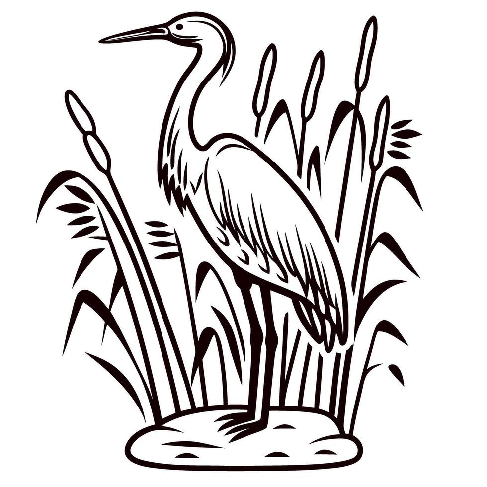Hand drawn heron standing on rock among cattail reeds vintage engraved bird illustration black and white vector