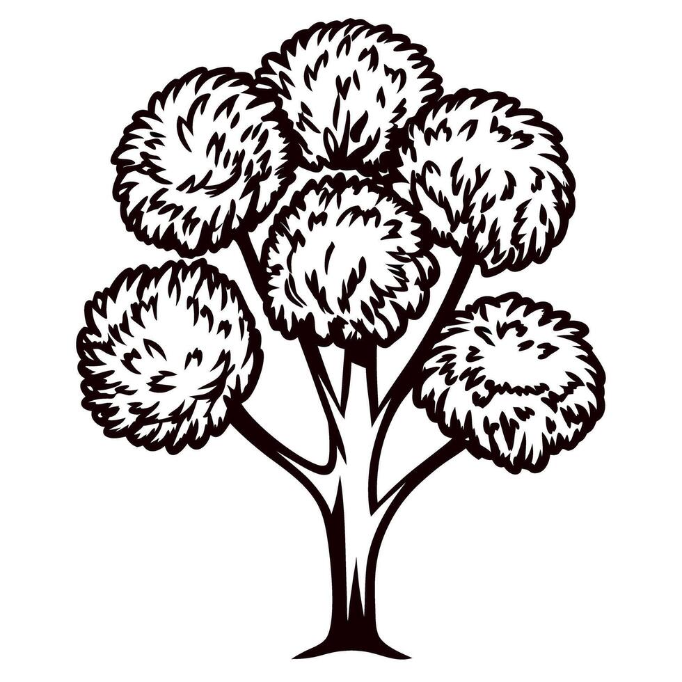 Elegant black and white ornamental tree with round foliage and detailed trunk illustration on white background vector