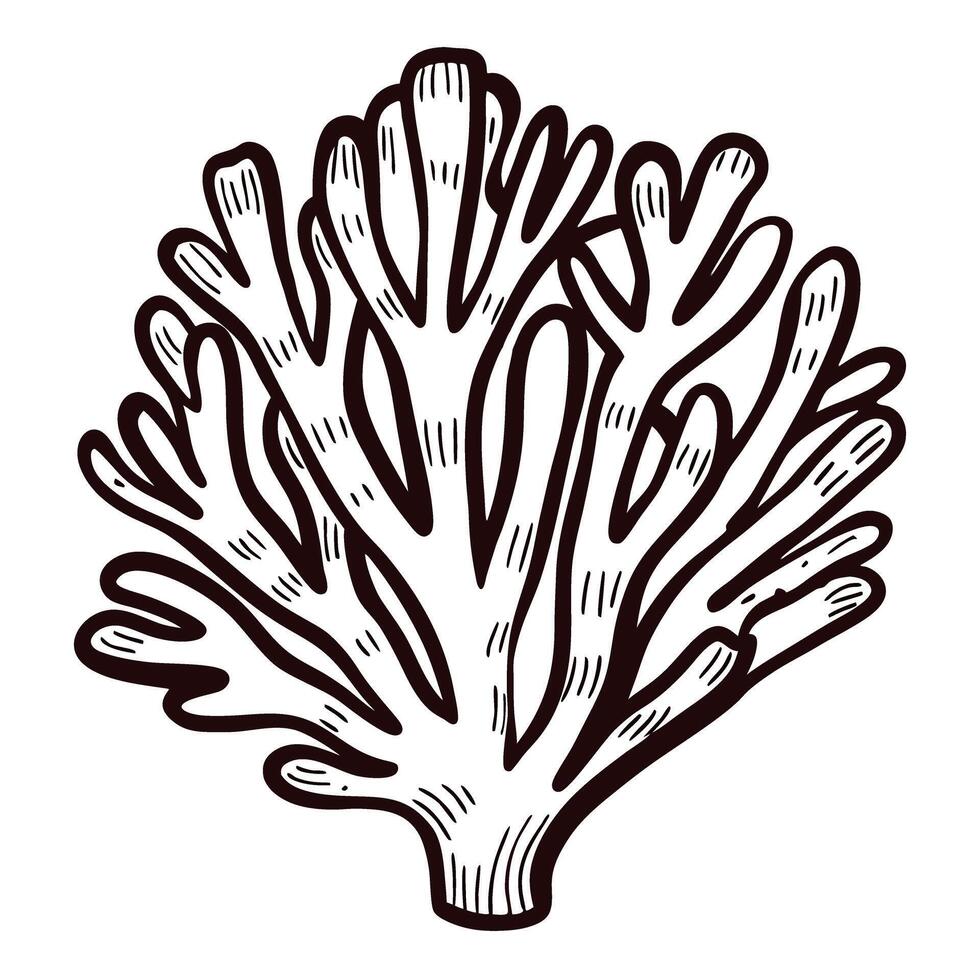 Hand drawn coral branch illustration in vintage engraving isolated on white background vector