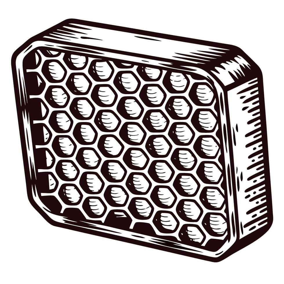 Hand drawn honeycomb block vintage engraved rectangular hexagonal wax pattern isolated on white background vector