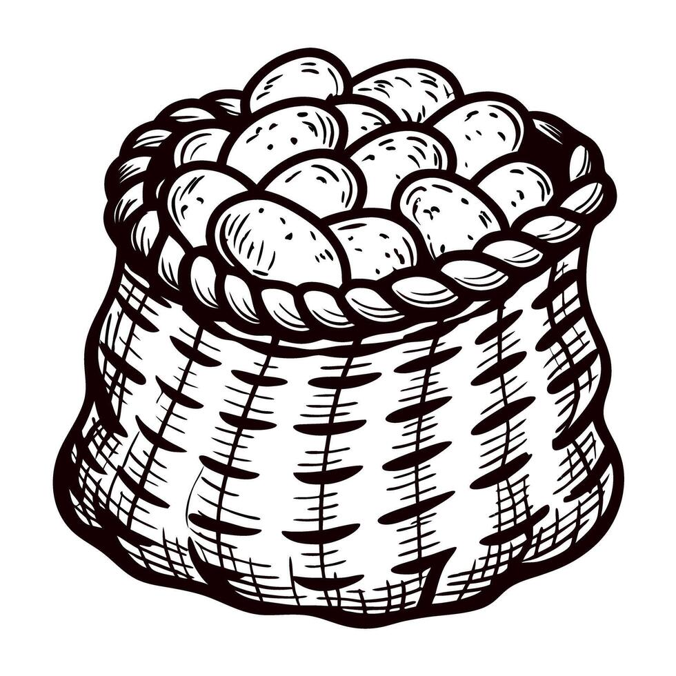 Hand drawn sack filled with potatoes isolated on white background vintage engraving sketch illustration vector