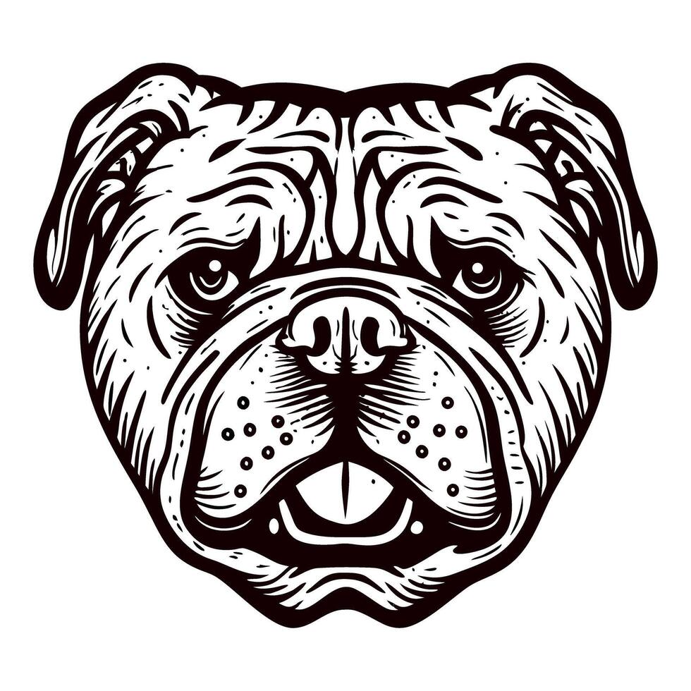 Detailed black and white illustration of a bulldog face with expressive eyes and textured fur in vintage engraved vector
