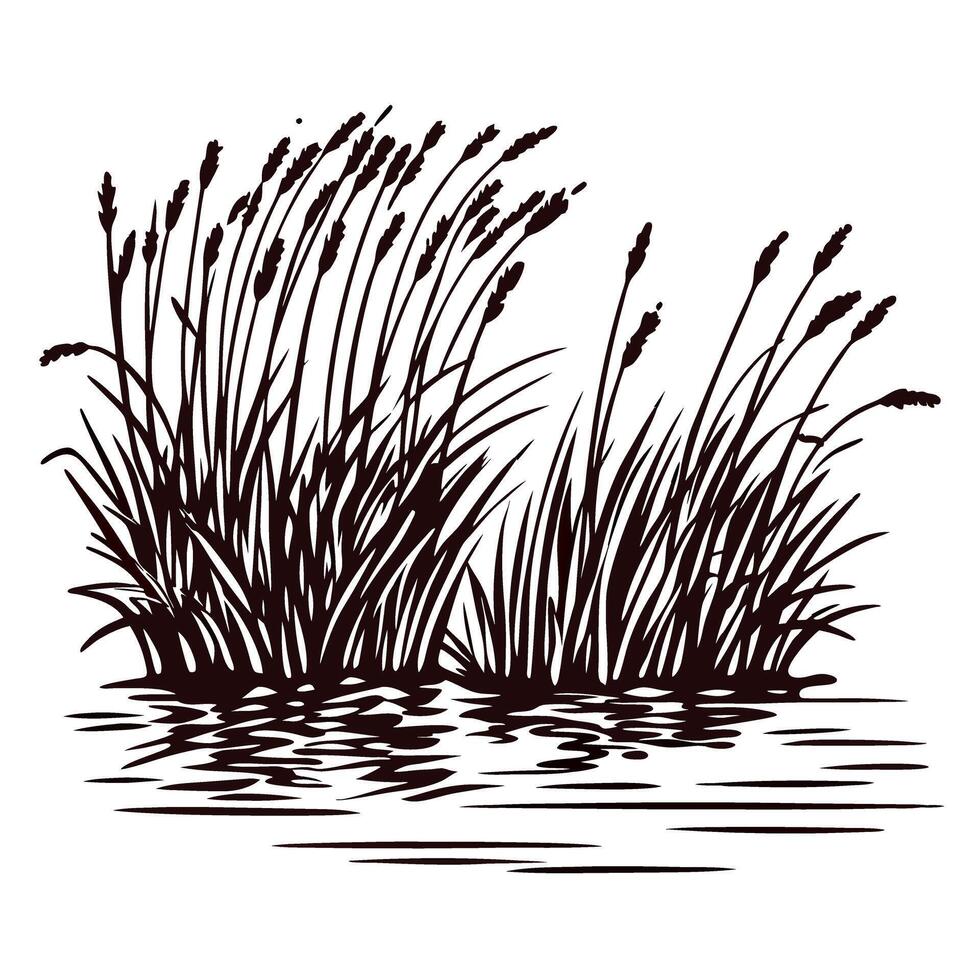 Silhouette of reed plants by water with reflective surface vector