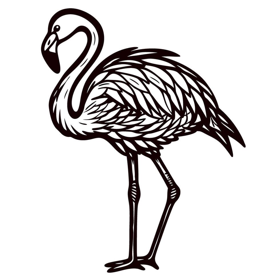 Hand drawn flamingo bird standing stylized vintage engraved black and white tropical bird illustration vector