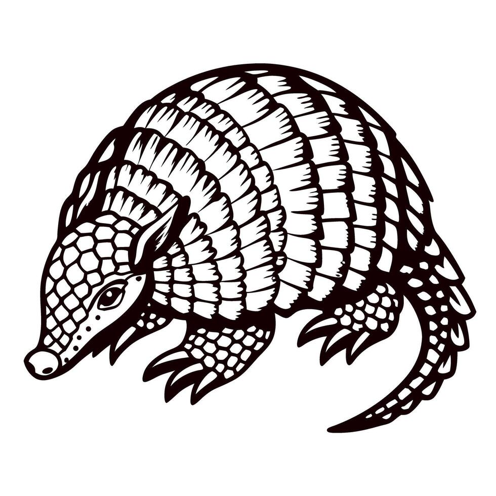 Detailed armadillo line art illustration on white background emphasizing intricate scales and natural defense posture vector