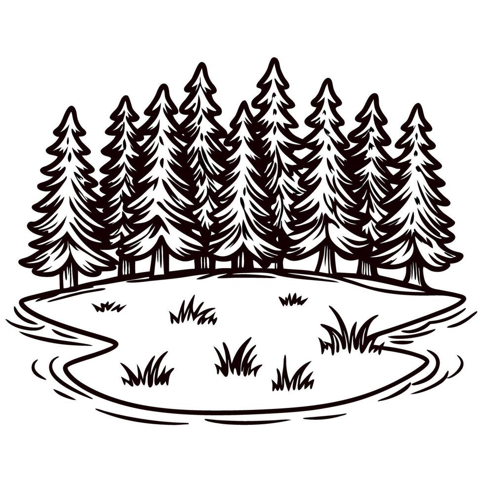 Hand drawn evergreen pine trees with small pond and grass on white background vintage engraved vector